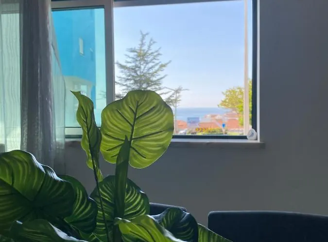 Apartamento Brisa Castro